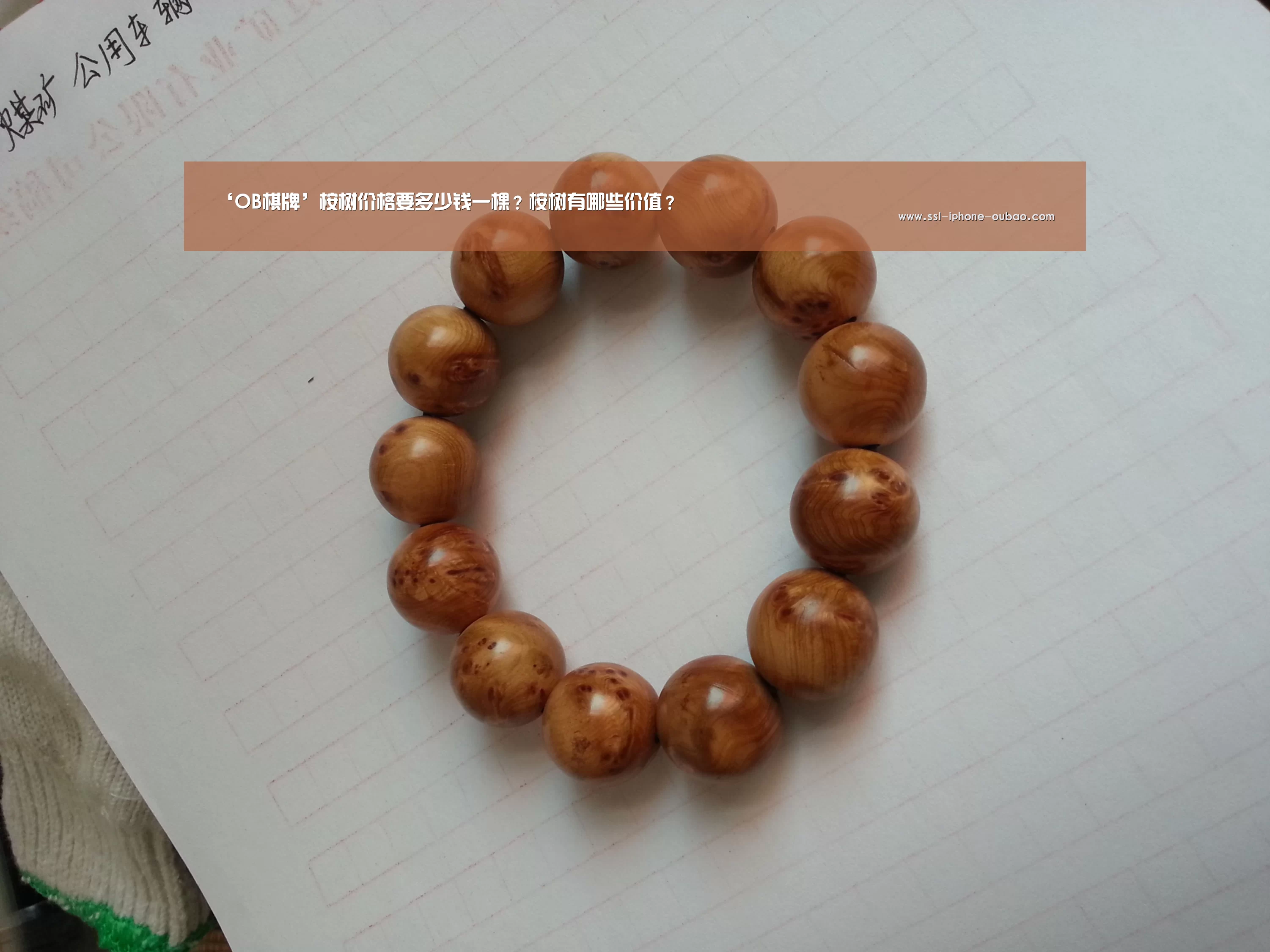 ‘OB棋牌’桉树价格要多少钱一棵?桉树有哪些价值?(图2) 欧宝app