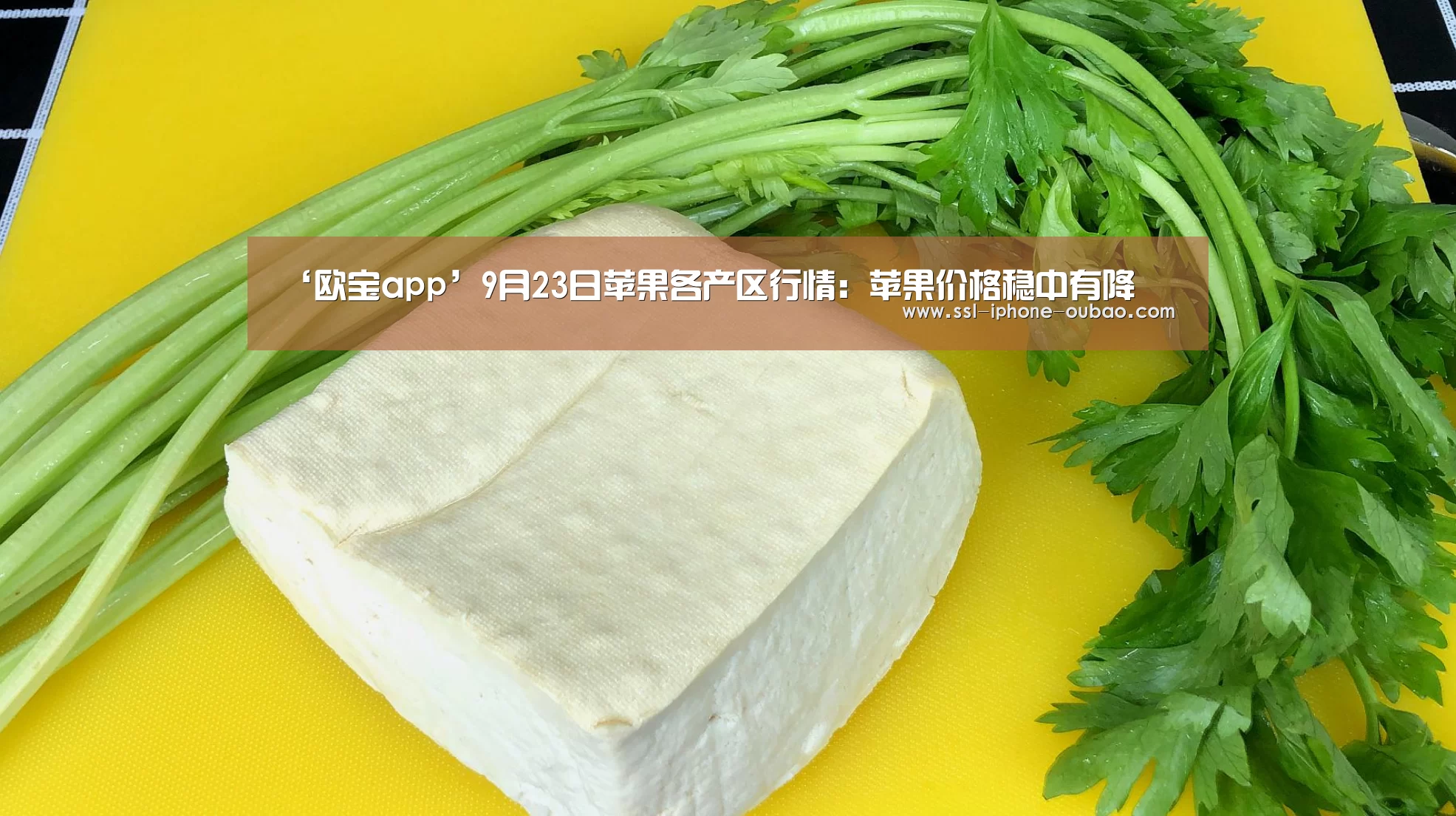 ‘欧宝app’9月23日苹果各产区行情:苹果价格稳中有降(图3) 欧宝